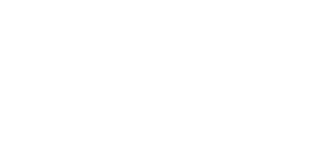 300x150 Logo de DRUID